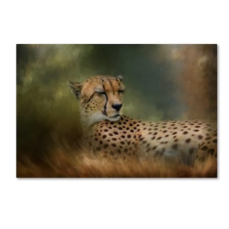 Jai Johnson 'Napping In The Brush' Canvas Art,30x47